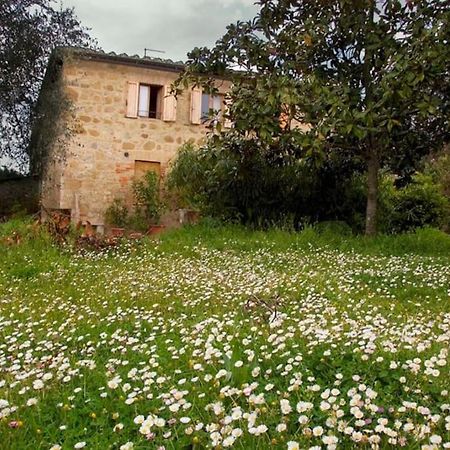 シエーナ La Vigna Agriturismoヴィラ エクステリア 写真