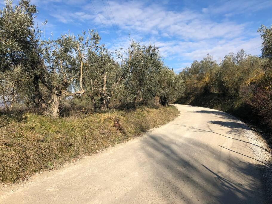 シエーナ La Vigna Agriturismoヴィラ エクステリア 写真