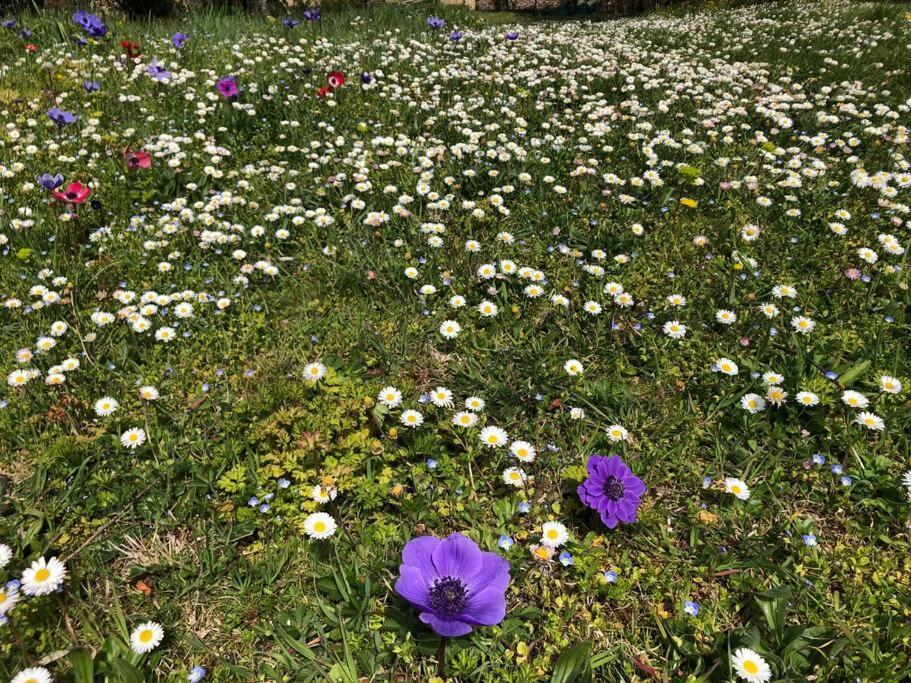 シエーナ La Vigna Agriturismoヴィラ エクステリア 写真