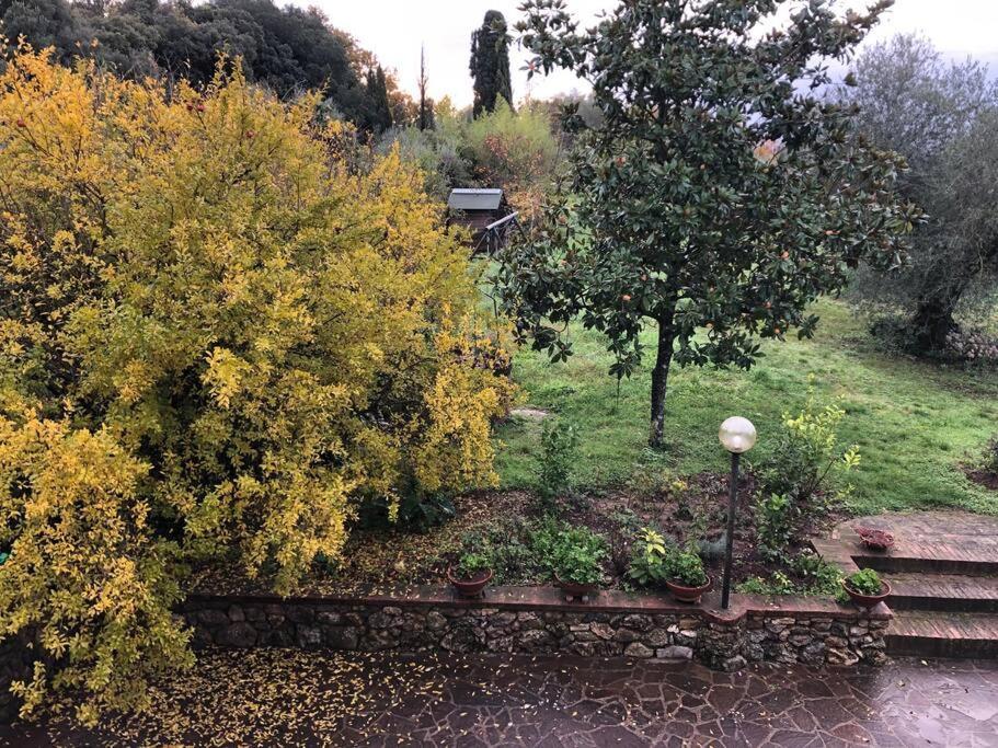シエーナ La Vigna Agriturismoヴィラ エクステリア 写真