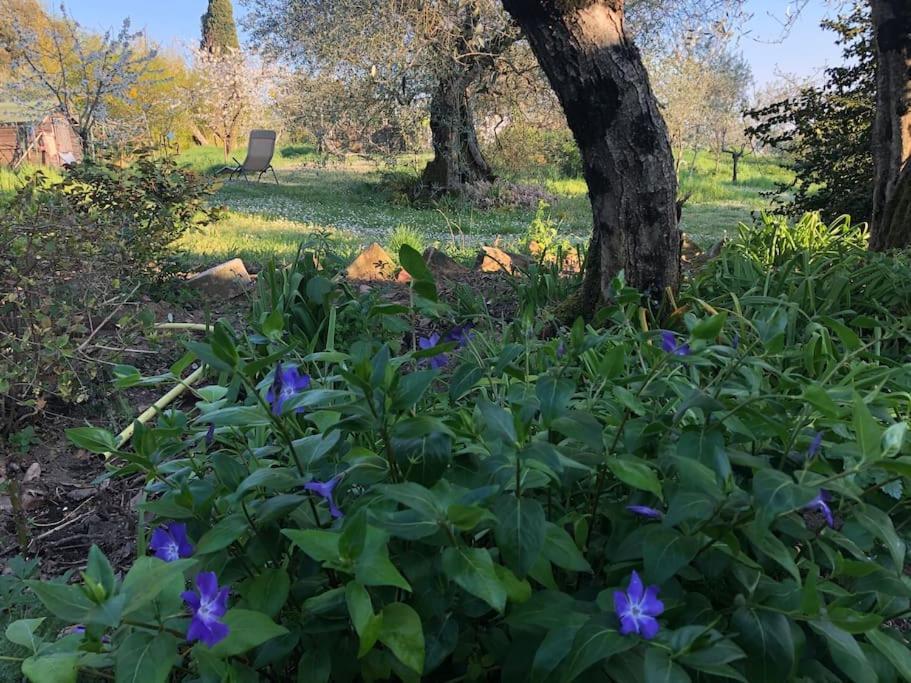 シエーナ La Vigna Agriturismoヴィラ エクステリア 写真