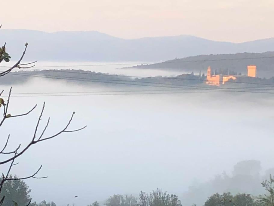 シエーナ La Vigna Agriturismoヴィラ エクステリア 写真