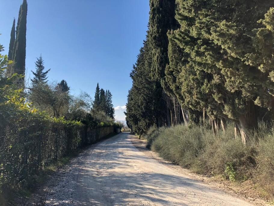 シエーナ La Vigna Agriturismoヴィラ エクステリア 写真