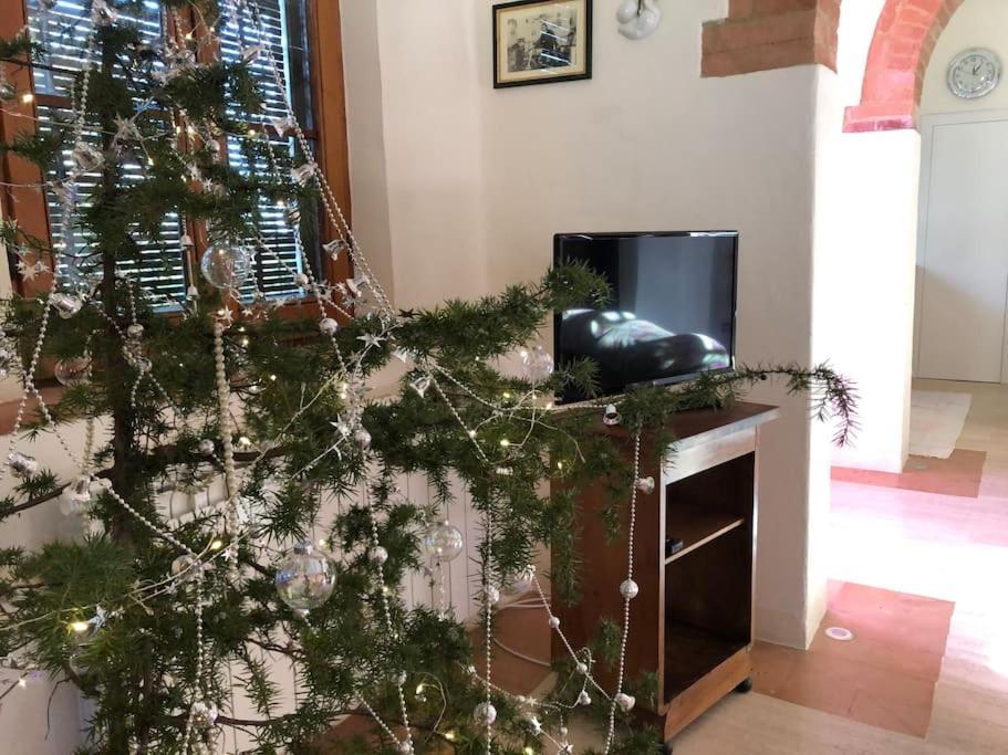 シエーナ La Vigna Agriturismoヴィラ エクステリア 写真