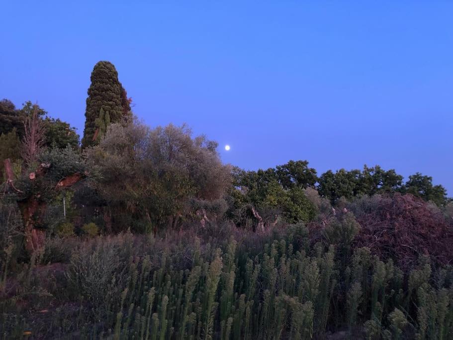 シエーナ La Vigna Agriturismoヴィラ エクステリア 写真