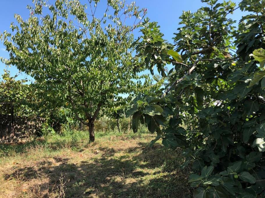 シエーナ La Vigna Agriturismoヴィラ エクステリア 写真