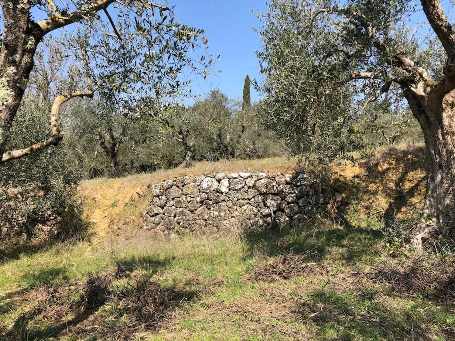 シエーナ La Vigna Agriturismoヴィラ エクステリア 写真