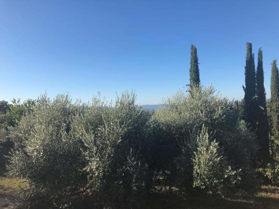 シエーナ La Vigna Agriturismoヴィラ エクステリア 写真