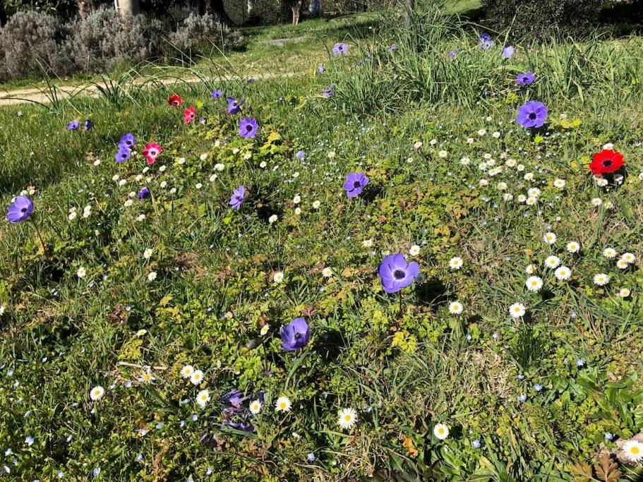 シエーナ La Vigna Agriturismoヴィラ エクステリア 写真