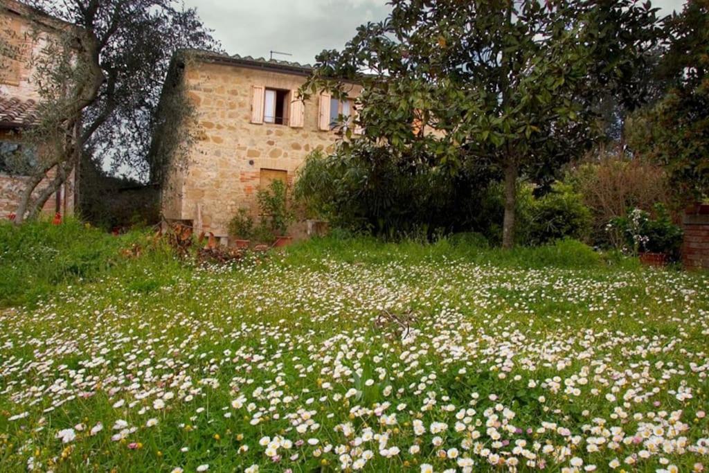 シエーナ La Vigna Agriturismoヴィラ エクステリア 写真